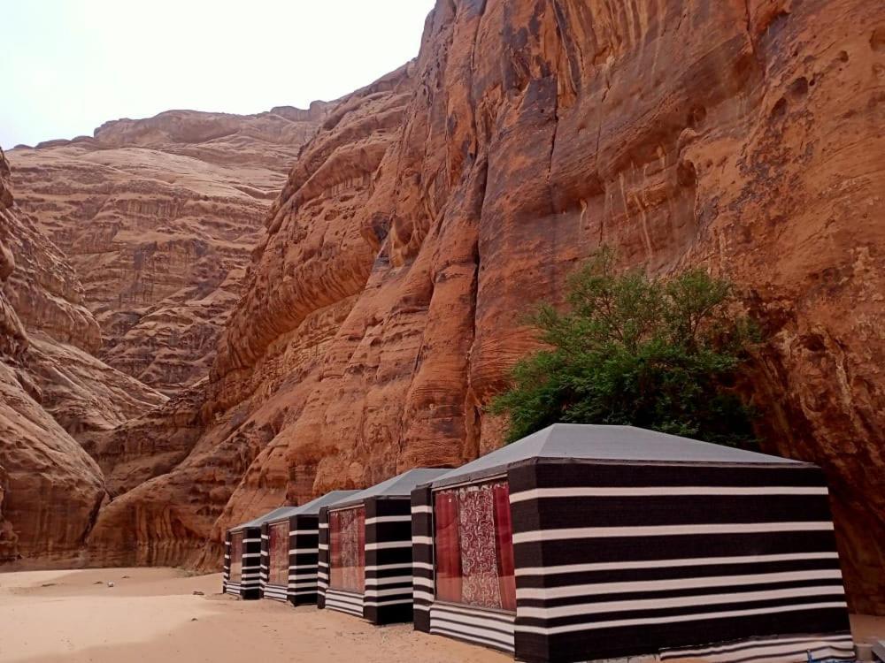 Shahrazad Desert, Wadi Rum Extérieur photo