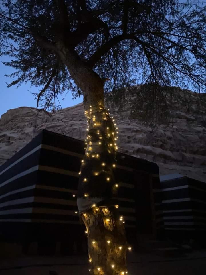 Shahrazad Desert, Wadi Rum Extérieur photo